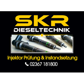 Delphi Injektor EJBR02301Z Einspritzdse Kia Carnival 2.9 TD 33800-4X500