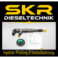 Einspritzdüse Bosch Injektor 0445110131 0445110080 BMW 13537787234 0986435084