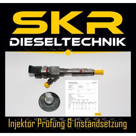 Bosch Injektor 0445110230 Einspritzdse Renault 1.9 dCi 96kW Laguna Megane Scenic