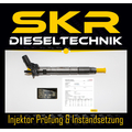 Einspritzdüse Bosch Injektor 0445115037 Touareg 3.0 TDI A4 A6 A8 Q7 VW 0445115052