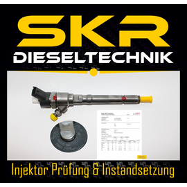 Bosch Injektor 0445110064 Einspritzdse Hyundai Matrix 1.5 CRDI KIA 0986435147