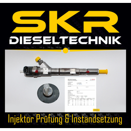 Bosch Injektor 0445110186 Einspritzdse Hyundai H-1 Kia Sorento I JC 0986435182