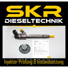 Injektor Einspritzdse Bosch 0445110378 Mercedes A-Klasse W169 B W245 0986435189