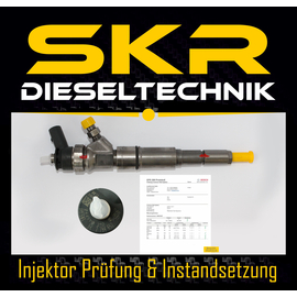 Bosch Injektor Einspritzdse 0445110212 BMW E61 E60 525d 130 kW 0986435151