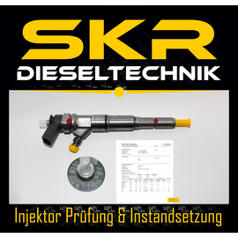 Bosch Injektor 0445110216 Einspritzdse 0986435091 BMW E87 E46 E60 E90 E83