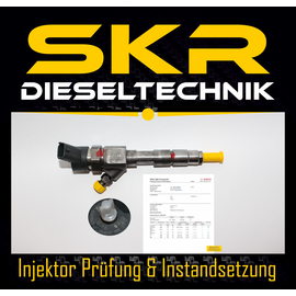 Bosch Injektor 0445110110 Einspritzdse Renault Laguna Megane 1.9 dCi 0986435080