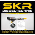 Bosch Injektor 0445110110 Einspritzdse Renault Laguna...