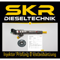 Bosch Injektor 0445110289 Einspritzdse BMW 116 118 318d...