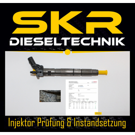 Bosch Injektor 0445115024 Einspritzdse VW Touareg 3.0TDI A4 A6 A8 Q7 0445115052