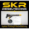 Einspritzdüse Bosch Injektor 0445110076 Citroen Fiat Peugeot 2.0 HDi 0986435077