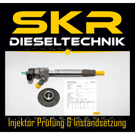 Bosch Injektor 0445110204 Einspritzdse 0986435065 Mercedes Sprinter A6120700587