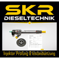 Einspritzdüse Bosch Injektor 0445110204 0445110203 Mercedes Sprinter 0986435065