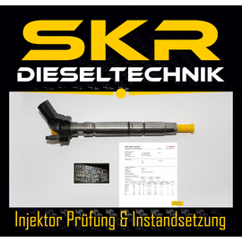 Bosch Injektor 0445117029 Einspritzdse Audi A6 A7 Q5 3.0 Tdi 0986435431