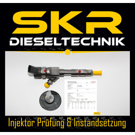 Bosch Injektor 0445110280 Einspritzdse Renault Magane 1.9 8200535108 8200606383