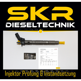 Bosch Injektor 0445116015 Einspritzdse Audi 2.7 TDI 3.0 Tdi VW Touareg 3.0 Tdi