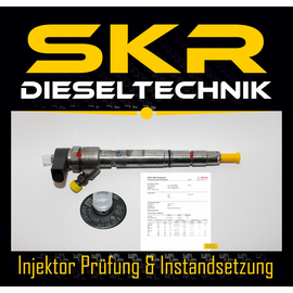 Injektor Einspritzdse Bosch 0445110158 Audi A8 4.0 TDI 202 kW Quattro 0986435168