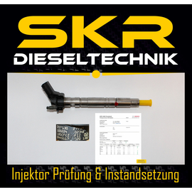 Bosch Injektor 0445117020 Einspritzdse Audi A8 Q7 VW Touareg 4.2 TDI Cayenne 4.2