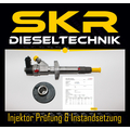 Einspritzdüse Bosch Injektor 0445110102 Renault Opel Movano Nissan 0986435106