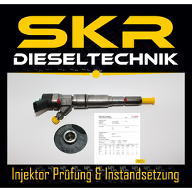 Bosch Injektor 0445110130 Einspritzdse13537789573 Land Rover Freelander 2.0 Td4