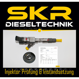 Bosch Injektor 0445110328 Einspritzdse Renault Megane Scenic 1.9 dCi 8200784019