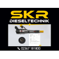Einspritzdüse Bosch Injektor 0445110044 Citroen Fiat Peugeot 2.0 HDI 0986435003
