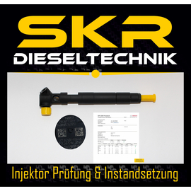 Delphi Injektor 28307309 Einspritzdse Mercedes Sprinter A6510703087 210 416 CDI