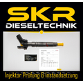 Einspritzdüse Bosch Injektor 0445115076 Mercedes A6420701387 0445115064 0986435355