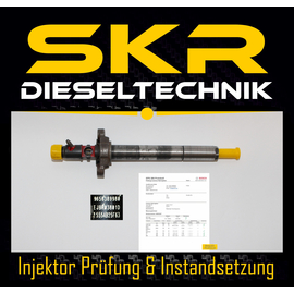 Delphi Injektor EJBR03801D Einspritzdse Citroen Peugeot 2.0 HDi 9656389980