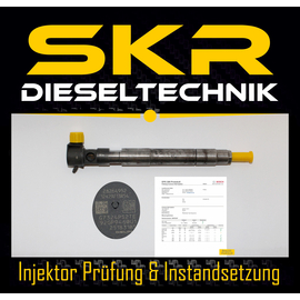 Delphi Injektor 28264952 Einspritzdse Chevrolet Captiva Orlando 2.0 D 25183185