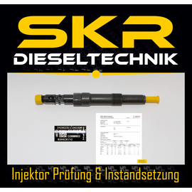 Delphi Injektor EJDR00801D Einspritzdse Ford Mondeo 2.0 TDCi 6S7Q-9K546-BA