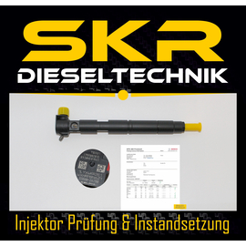 Delphi Injektor EMBR00203D Einspritzdse Hyundai Kia 1.4 CRDi 33800-2A780 28540276