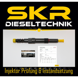 Delphi Injektor EJDR00501Z Einspritzdse Ford Mondeo 2.0 TDCI Jaguar X-Type 2.0 D