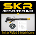 Einspritzdüse Bosch Injektor 0445110057 Citroen Peugeot Suzuki 2.0 HDI 0986435093