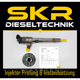 Bosch Injektor 0445110800 Einspritzdse Dacia Renault 1.5 dCi 166007427R