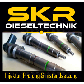 Bosch Injektor Einspritzdse 0445110191 Mercedes Vito Viano A6470700087 Mercedes 0986435113